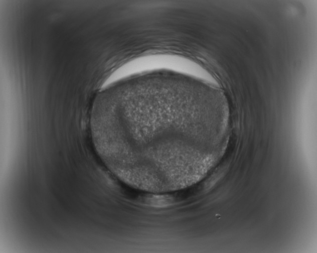 X0000086280277200704191952