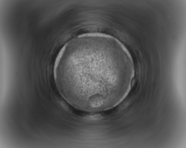 X0000086280278200704191952