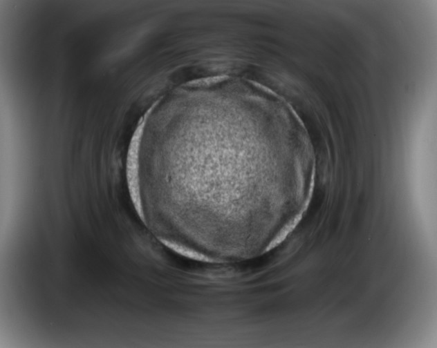 X0000086280279200704191952