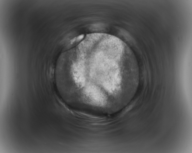 X0000086280281200704191952