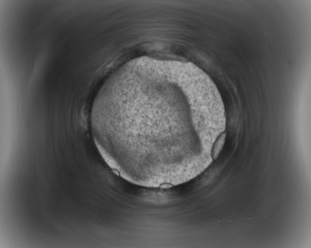 X0000086280282200704191952