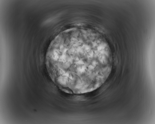 X0000086280283200704191952