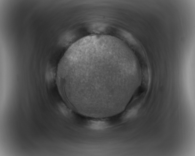 X0000086280284200704191952