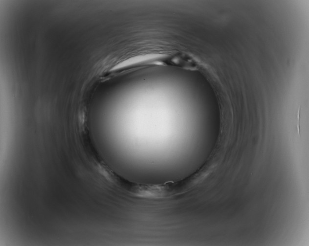 X0000086280288200704191952