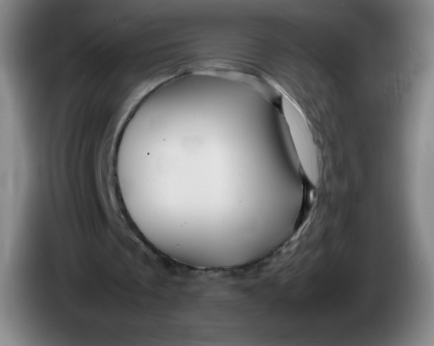 X0000086280289200704191952