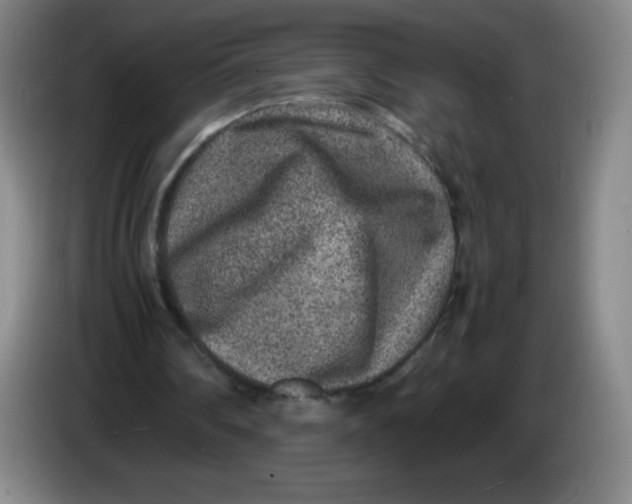 X0000086280290200704191952