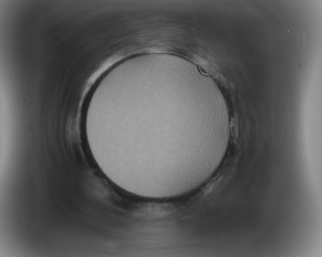 X0000086280292200704191952