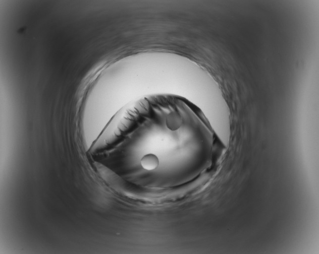 X0000086280293200704191952