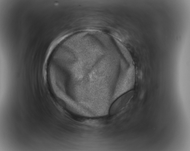 X0000086280294200704191952