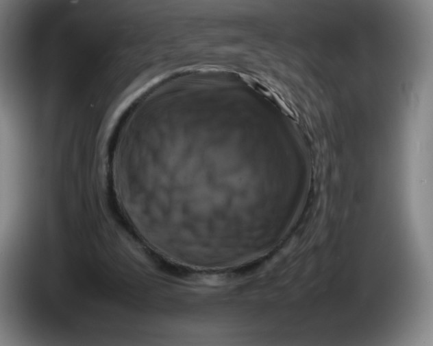 X0000086280295200704191952