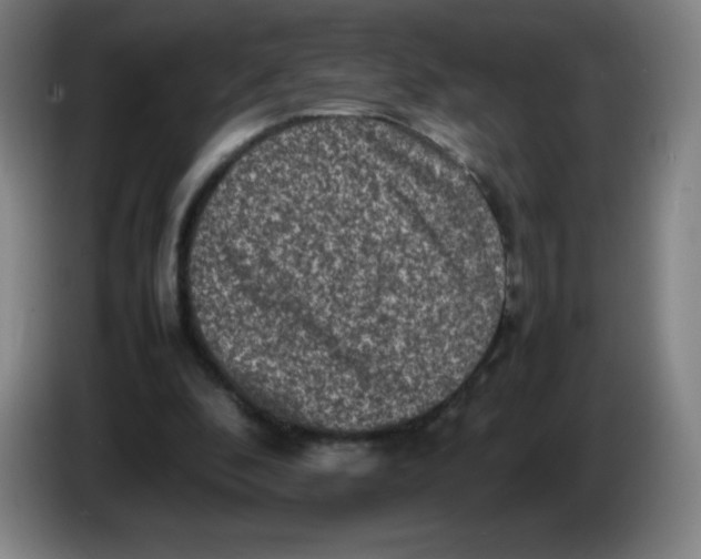 X0000086280296200704191952