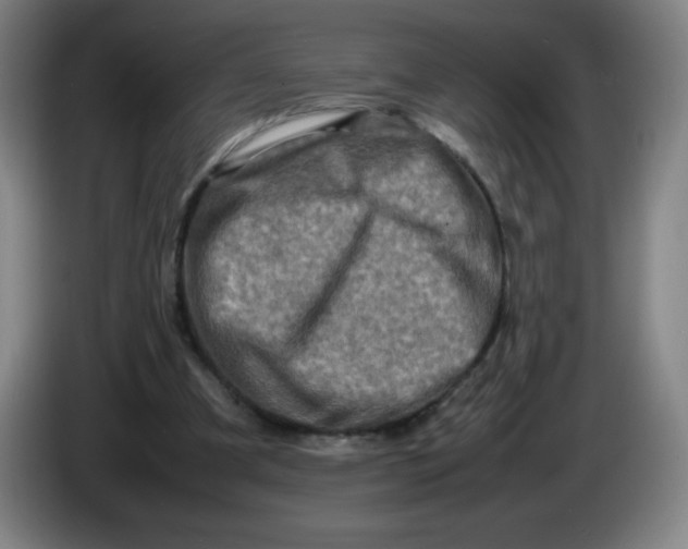 X0000086280297200704191952