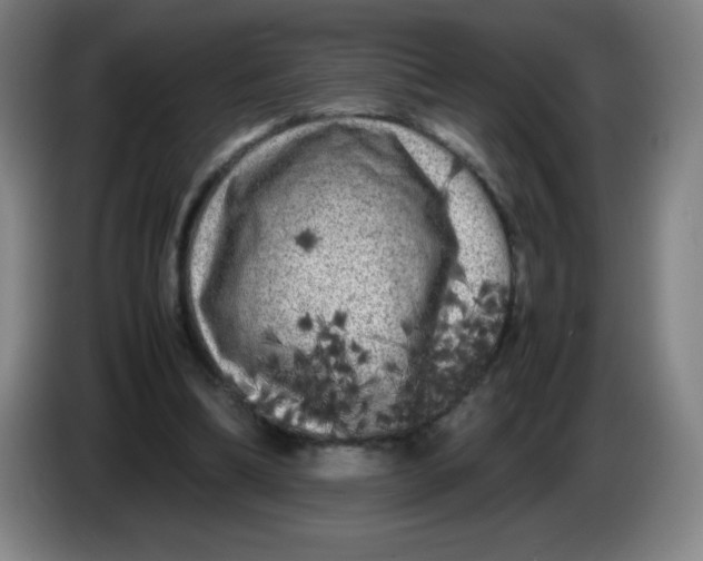 X0000086280298200704191952