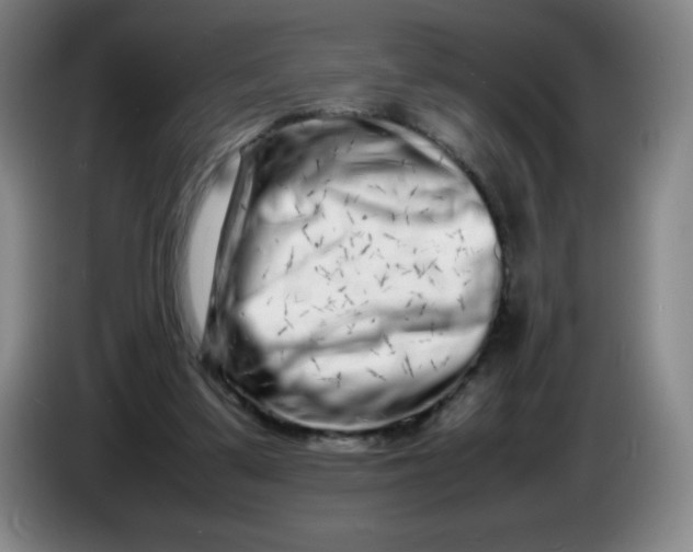 X0000086280299200704191952