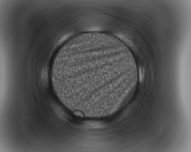 X0000086280300200704191952