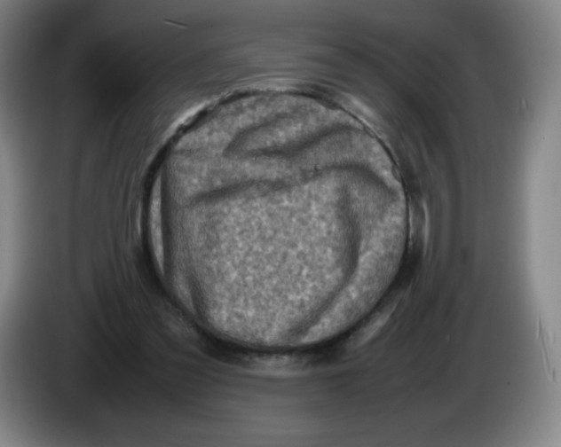 X0000086280301200704191952