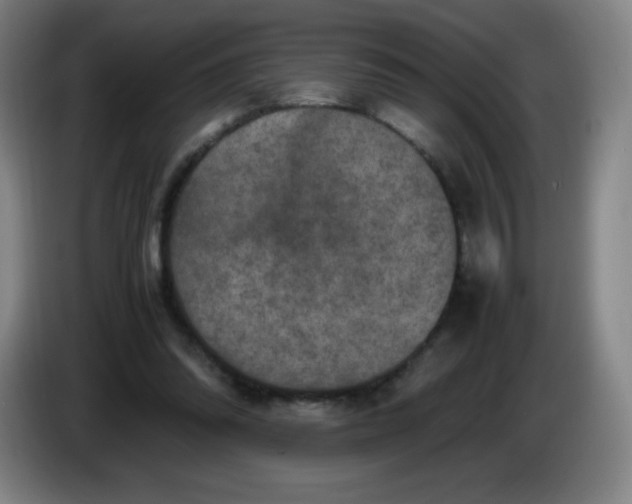 X0000086280302200704191952