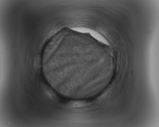 X0000086280303200704191952