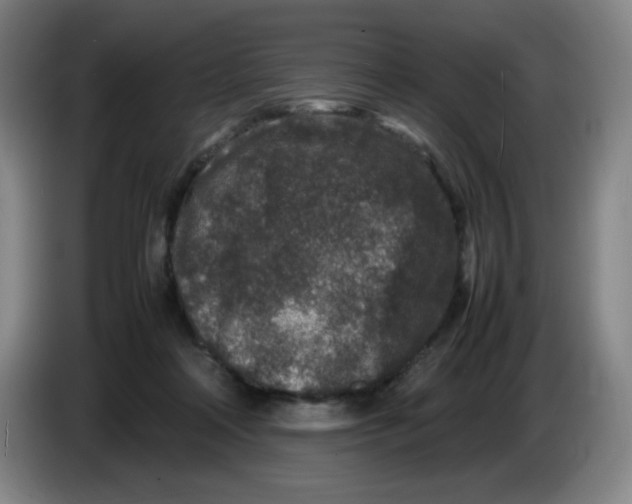 X0000086280314200704191951