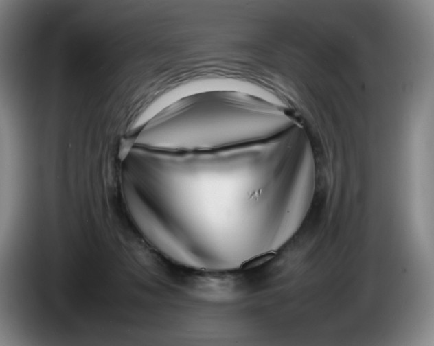 X0000086280317200704191951