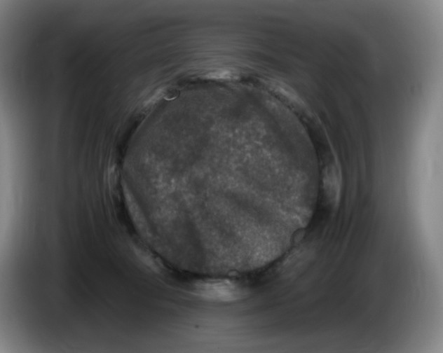 X0000086280322200704191951