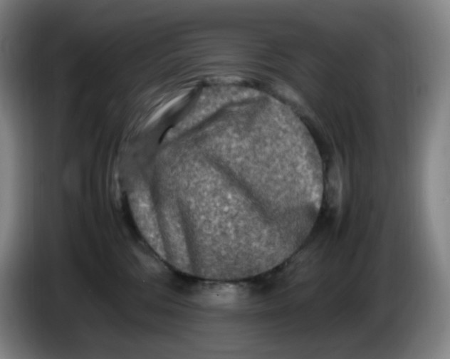 X0000086280330200704191951