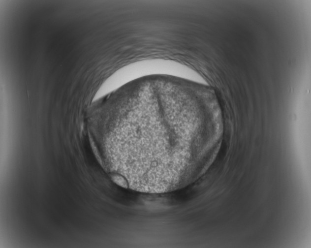 X0000086280331200704191951