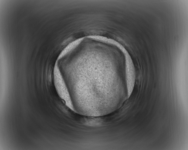 X0000086280334200704191951