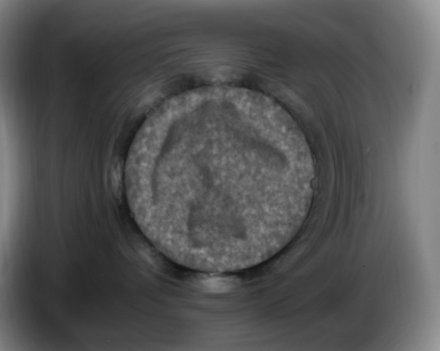 X0000086280336200704191951