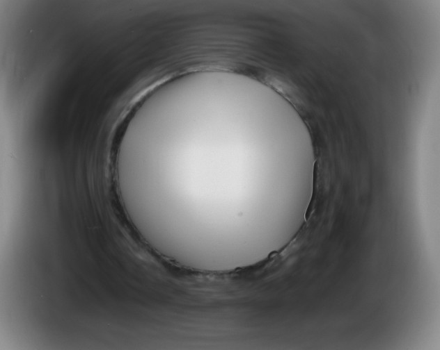 X0000086280338200704191951