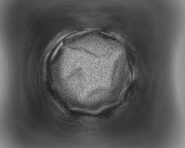 X0000086280339200704191951