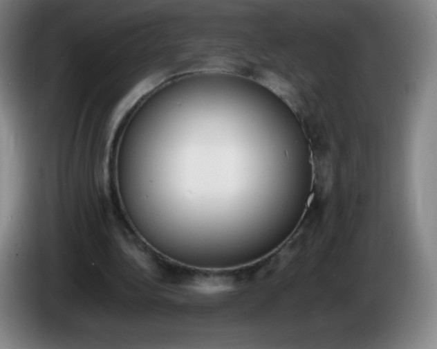 X0000086280340200704191951