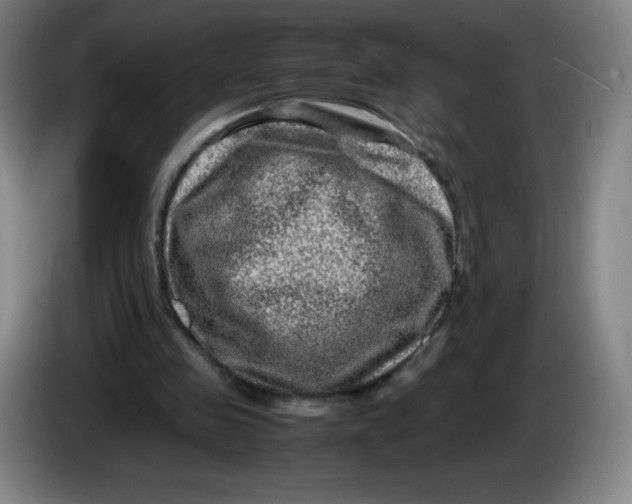 X0000086280341200704191951