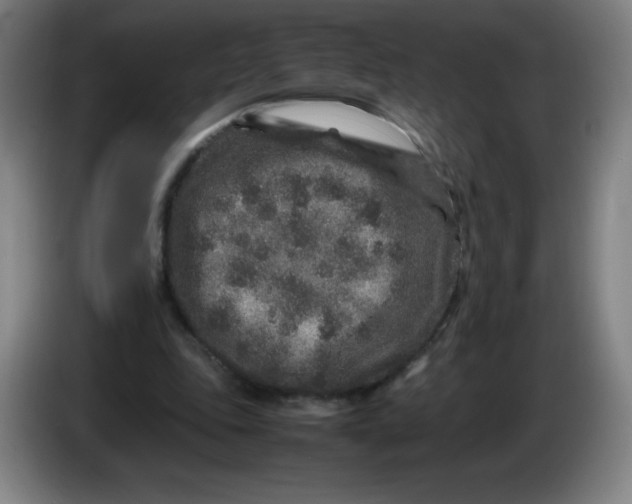 X0000086280343200704191951