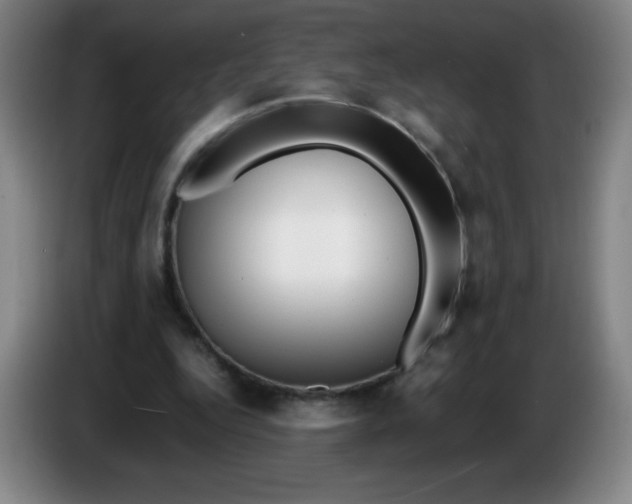 X0000086280344200704191951