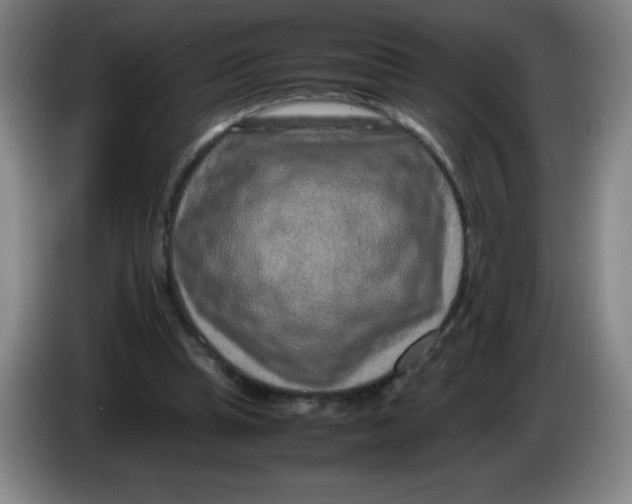 X0000086280345200704191951