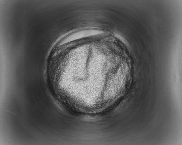 X0000086280346200704191951