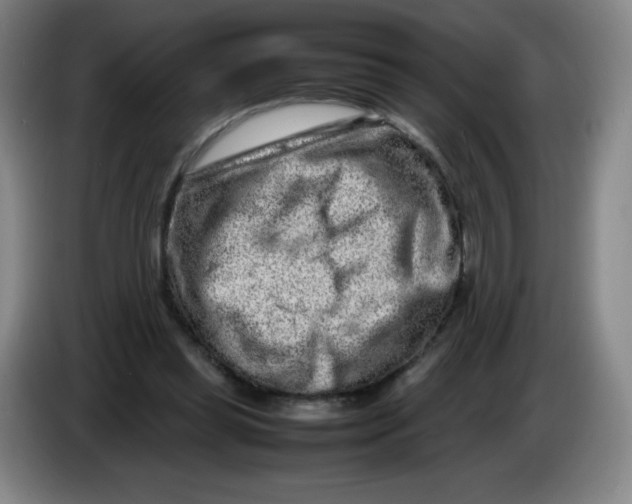 X0000086280349200704191951