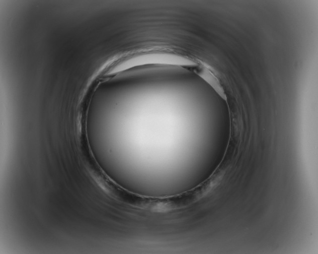 X0000086280350200704191951