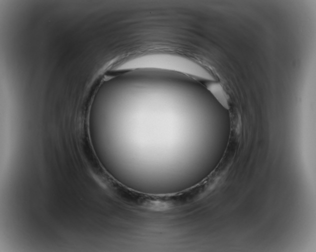 X0000086280352200704191951