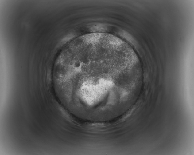 X0000086280353200704191951