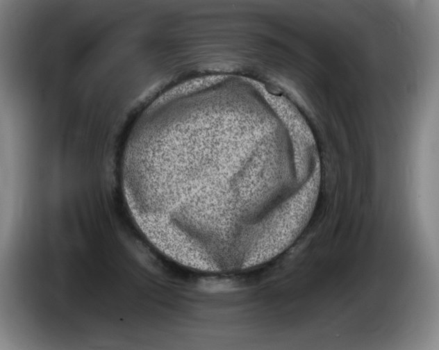 X0000086280354200704191951