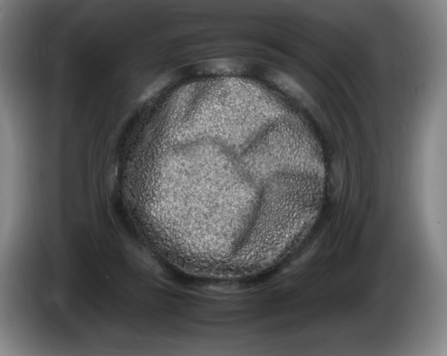 X0000086280355200704191951