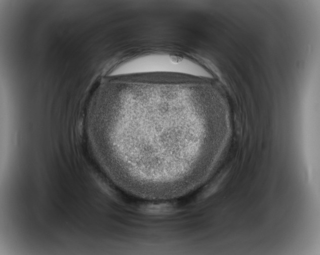 X0000086280357200704191951