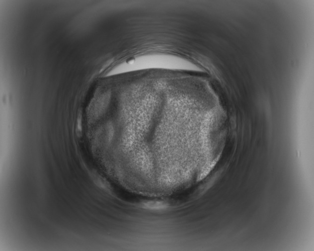 X0000086280358200704191951