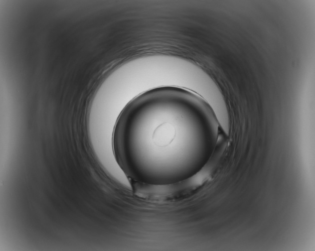 X0000086280360200704191951