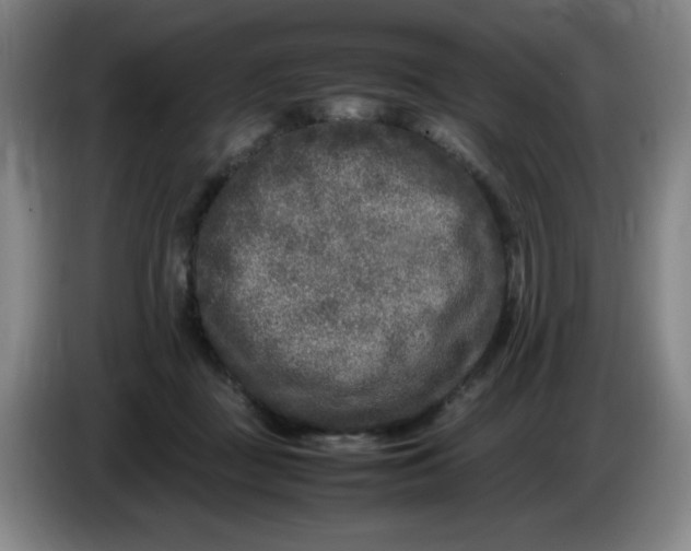 X0000086280363200704191951