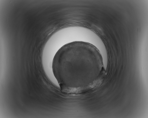 X0000086280364200704191951