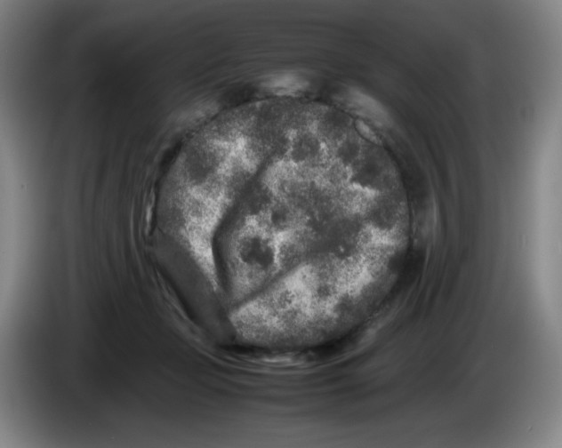 X0000086280365200704191951