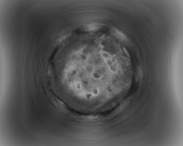 X0000086280366200704191951